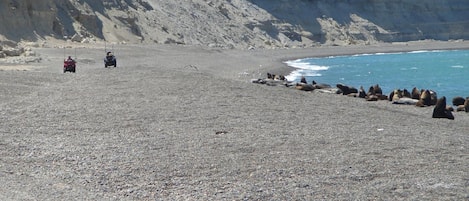 Spiaggia