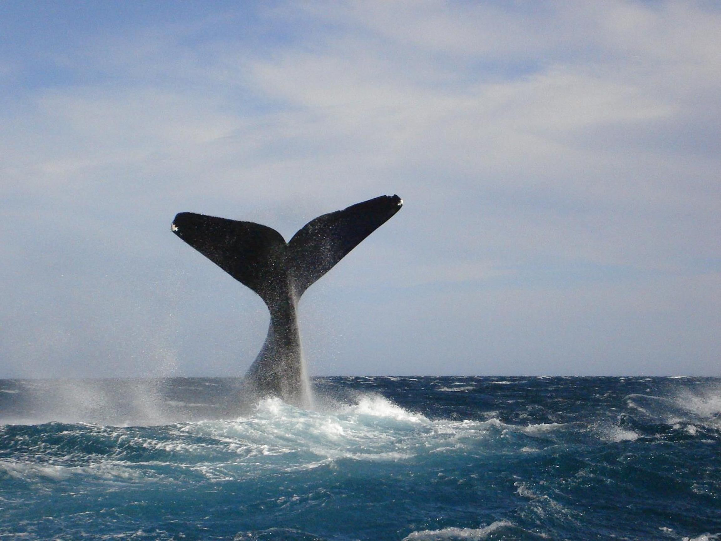 Photo - Cheltum Hotel