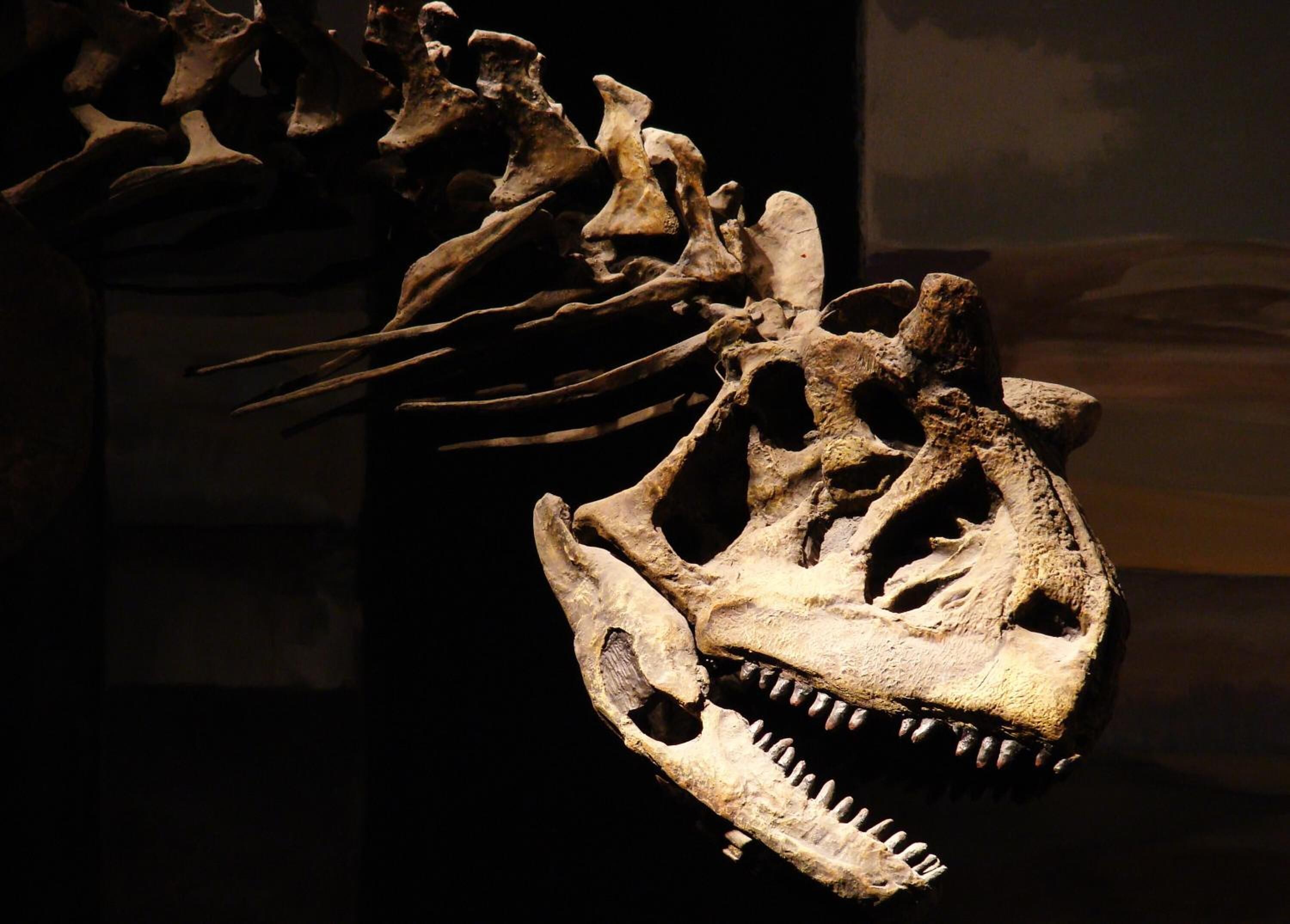 Photo - Cheltum Hotel