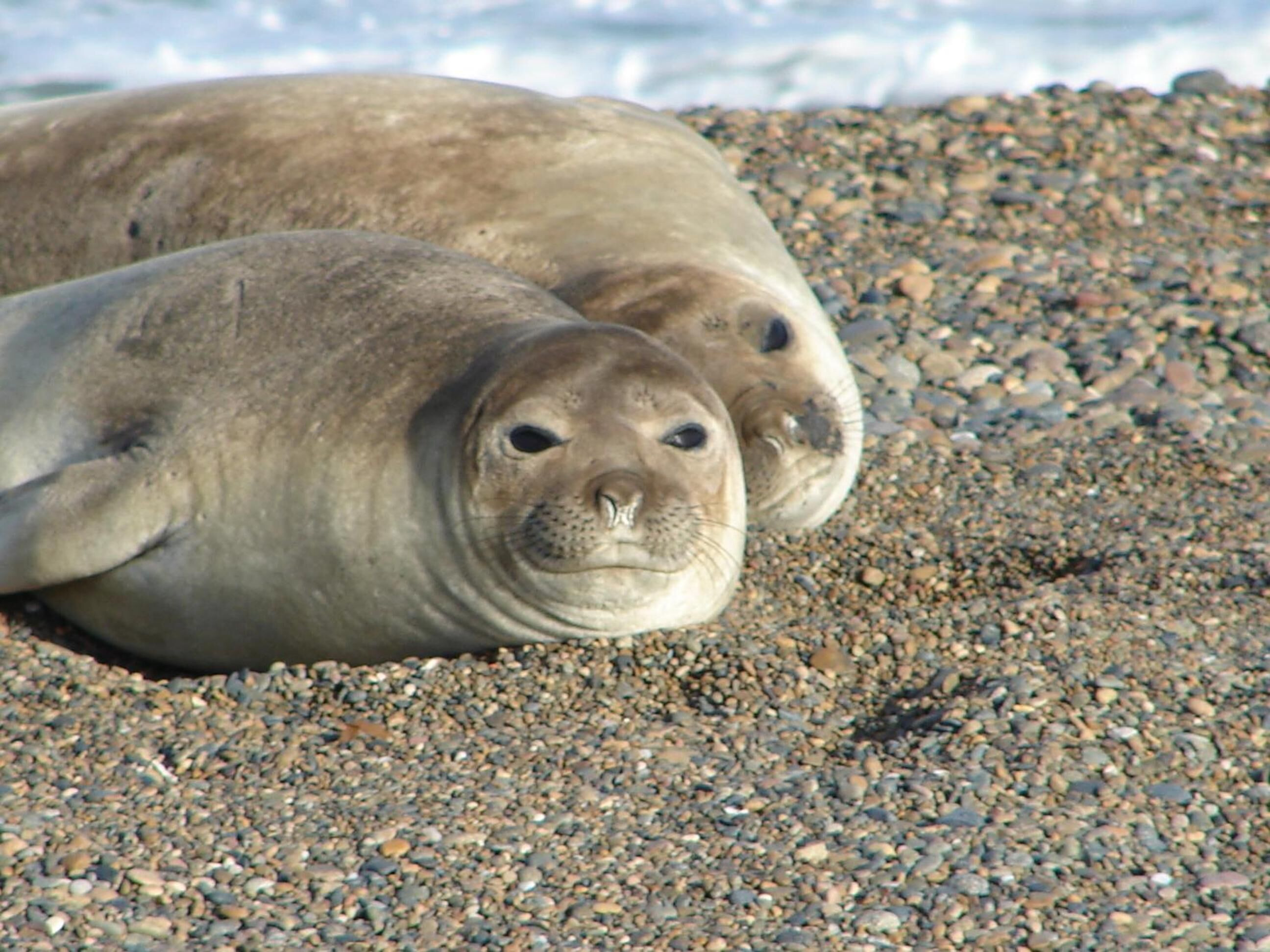 Photo - Cheltum Hotel