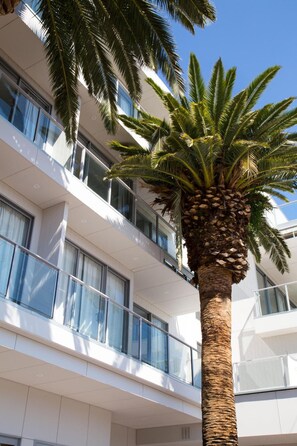 A modern building with multiple balconies and a palm tree in front. - The Palms Apartments (Kent Town)