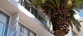 The Palms Apartments