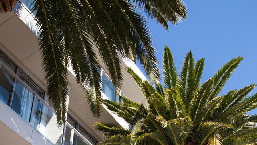 The Palms Apartments