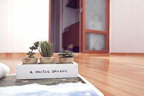 Un petit jardin de cactus avec trois plantes en pot, disposées sur une étagère blanche portant l’inscription « jardin de cactus ».
