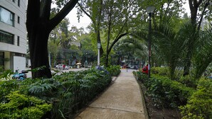 A paved pathway flanked by lush greenery and trees, leading to a building with a modern facade. - Aikia City CDMX (Mexico City)
