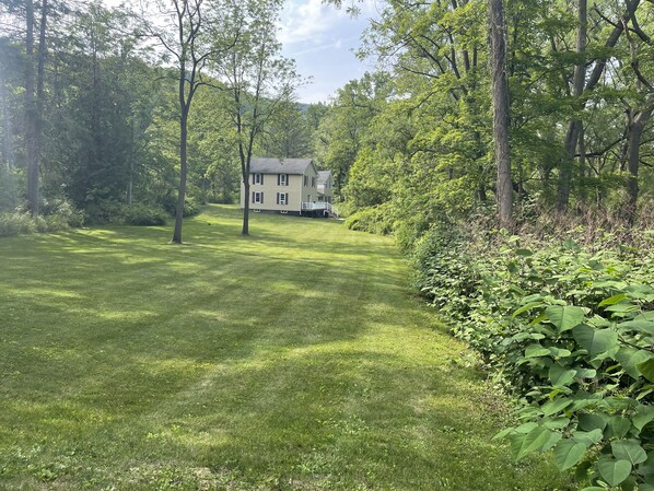 A house surrounded by a well-maintained lawn and dense trees.