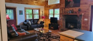 TV connectée, cheminée, lecteur de DVD, livres