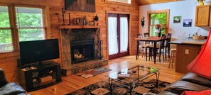 Smart TV, chimenea, reproductor de DVD y libros 