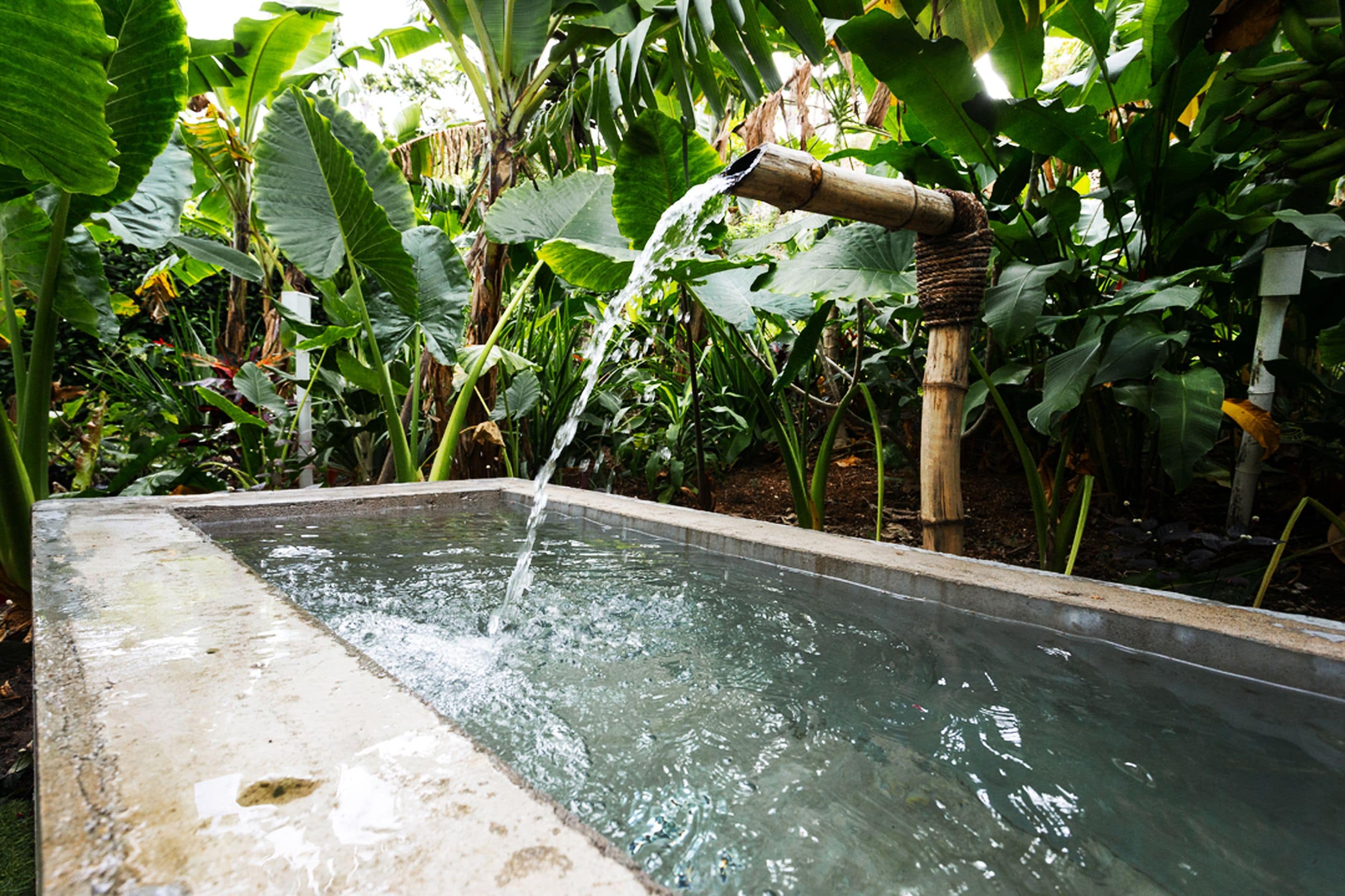 A rectangular water feature with a bamboo spout, surrounded by lush greenery.
