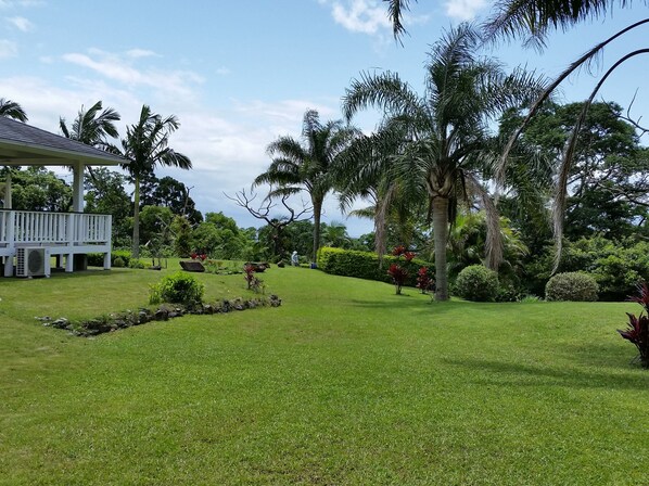 A lush garden with palm trees, a white gazebo, and a well-maintained lawn.