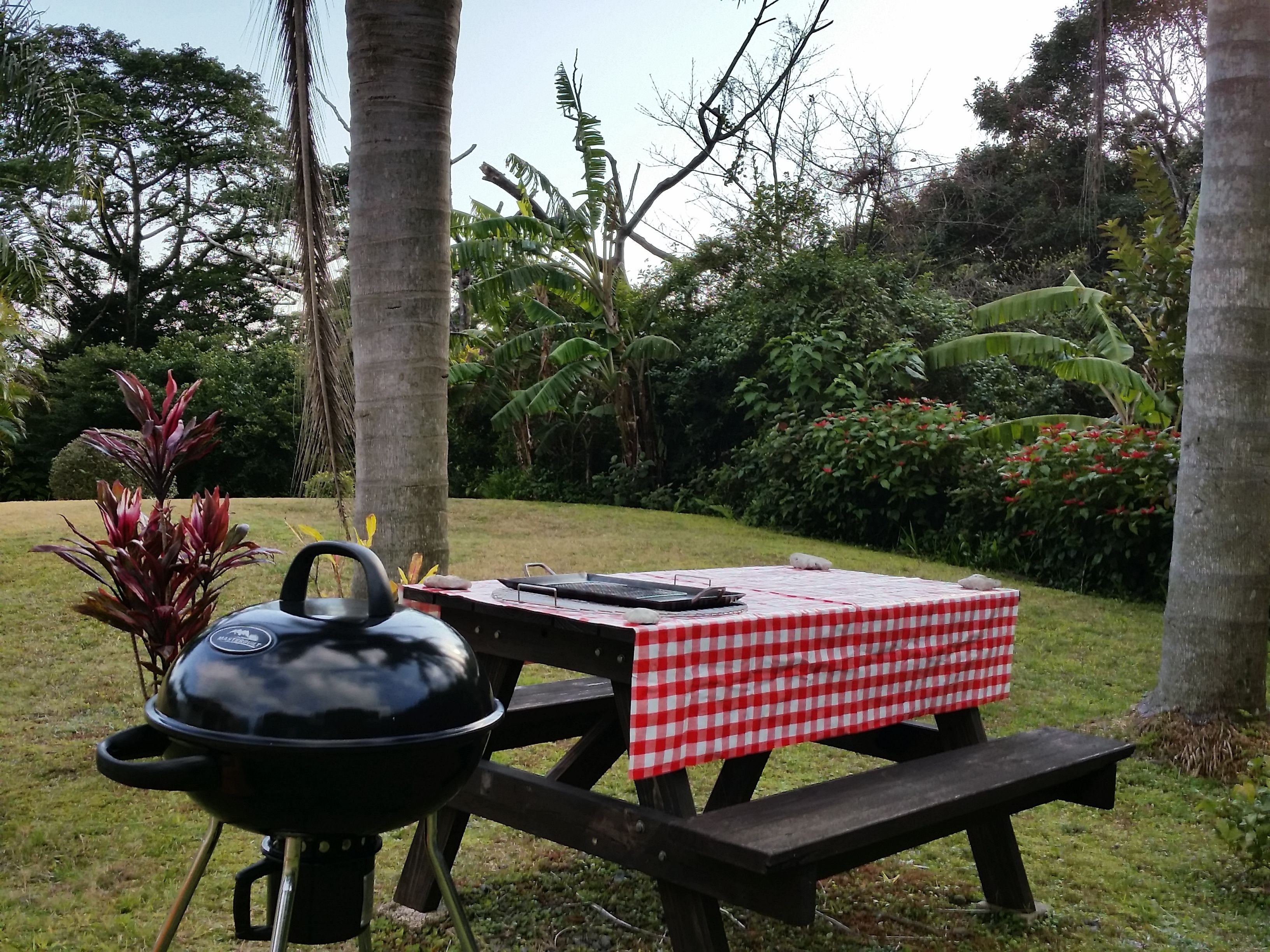 Um espaço para churrasco com grelha e mesa de piquenique coberta por uma toalha quadriculada vermelha e branca.