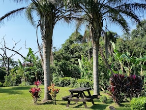 A picnic table in a lush garden with palm trees and various plants. - Cottage HANA MANA (Yakushima)