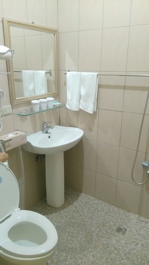 Regadera, amenidades de baño gratuitas, secadora de cabello, pantuflas