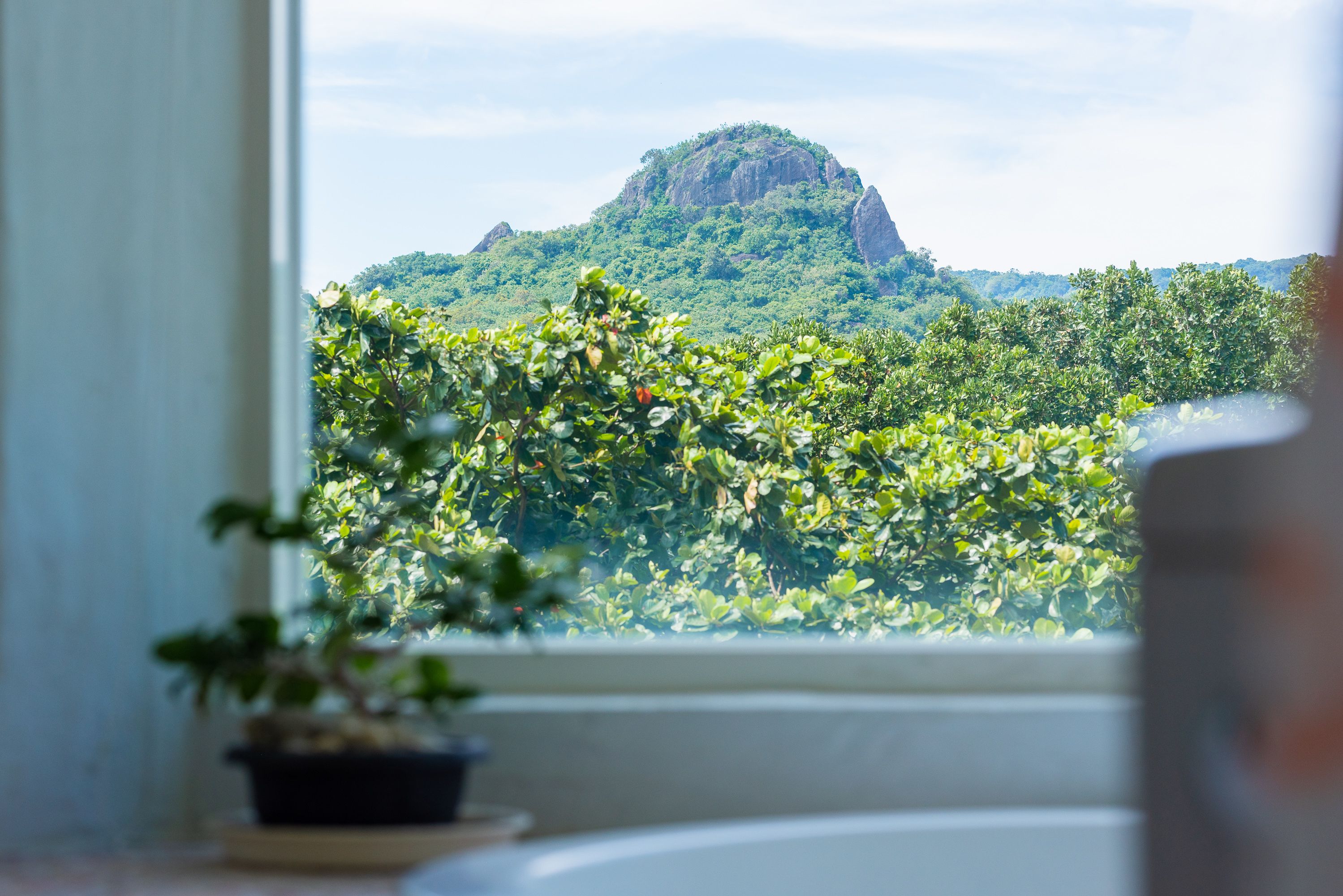 Vista desde la habitación