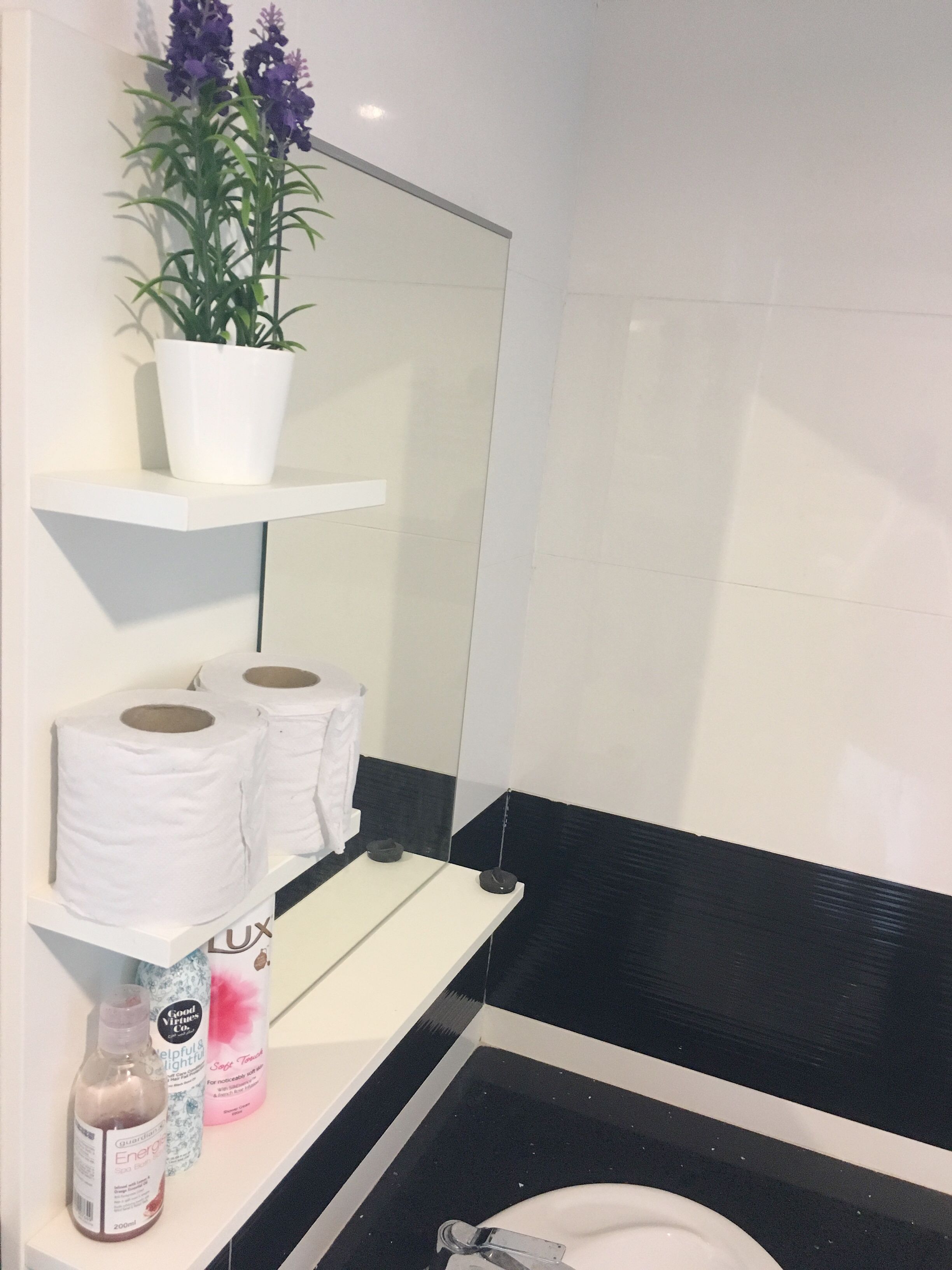 A bathroom with a white sink, black and white tiled walls, a white shelf with toilet paper, a potted plant, and a bottle of hand sanitizer.