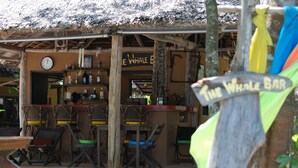 Un espace extérieur aménagé dans un style rustique, avec des tables et des chaises en bois, un bar appelé «The Whale Bar», et une horloge au mur.