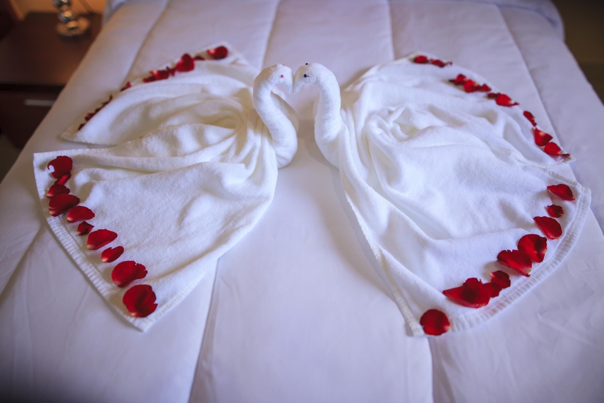 twin room | bathroom amenities | shower, free toiletries, towels