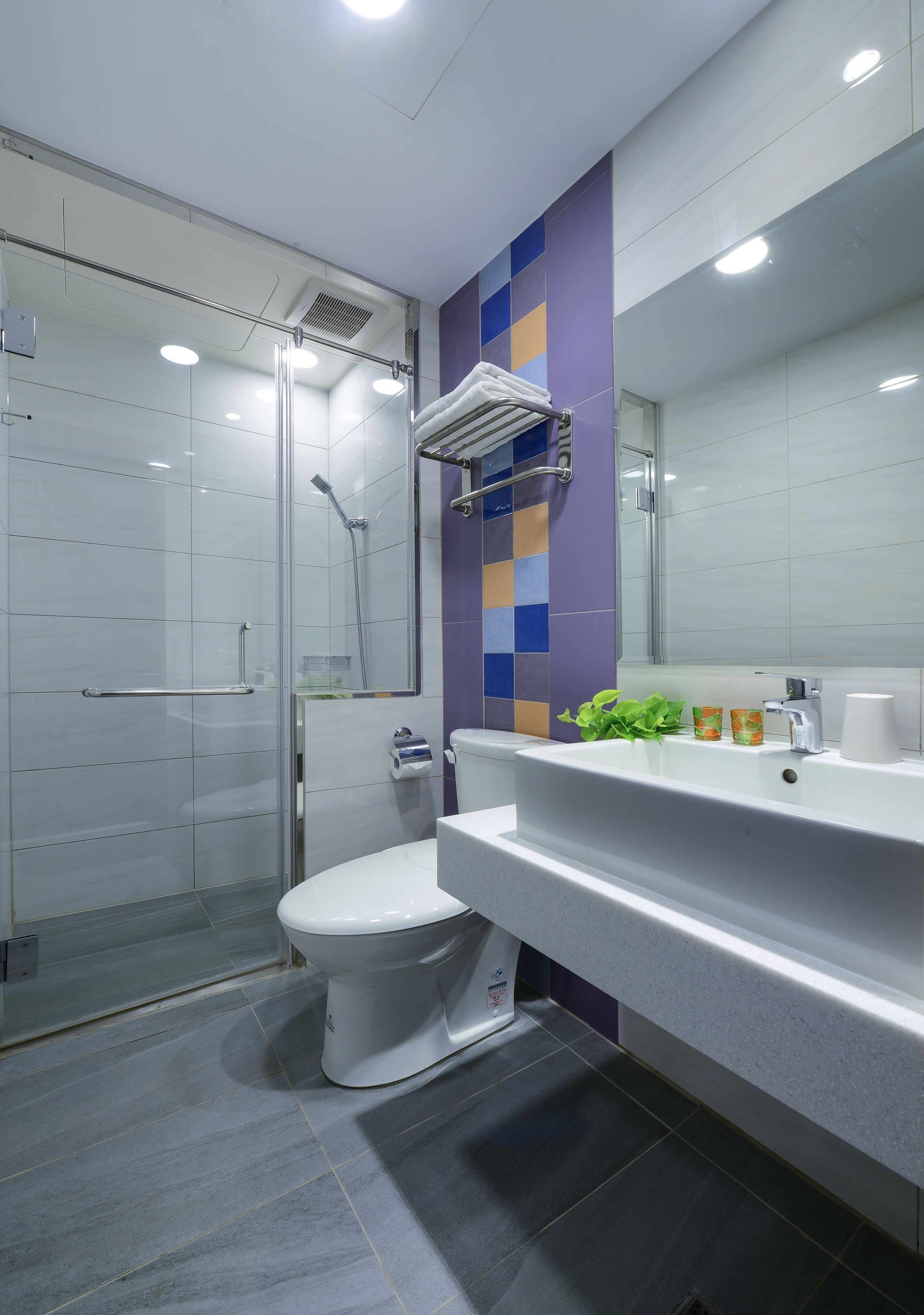 A modern bathroom with a glass shower enclosure, a white toilet, and a vanity with a mirror.