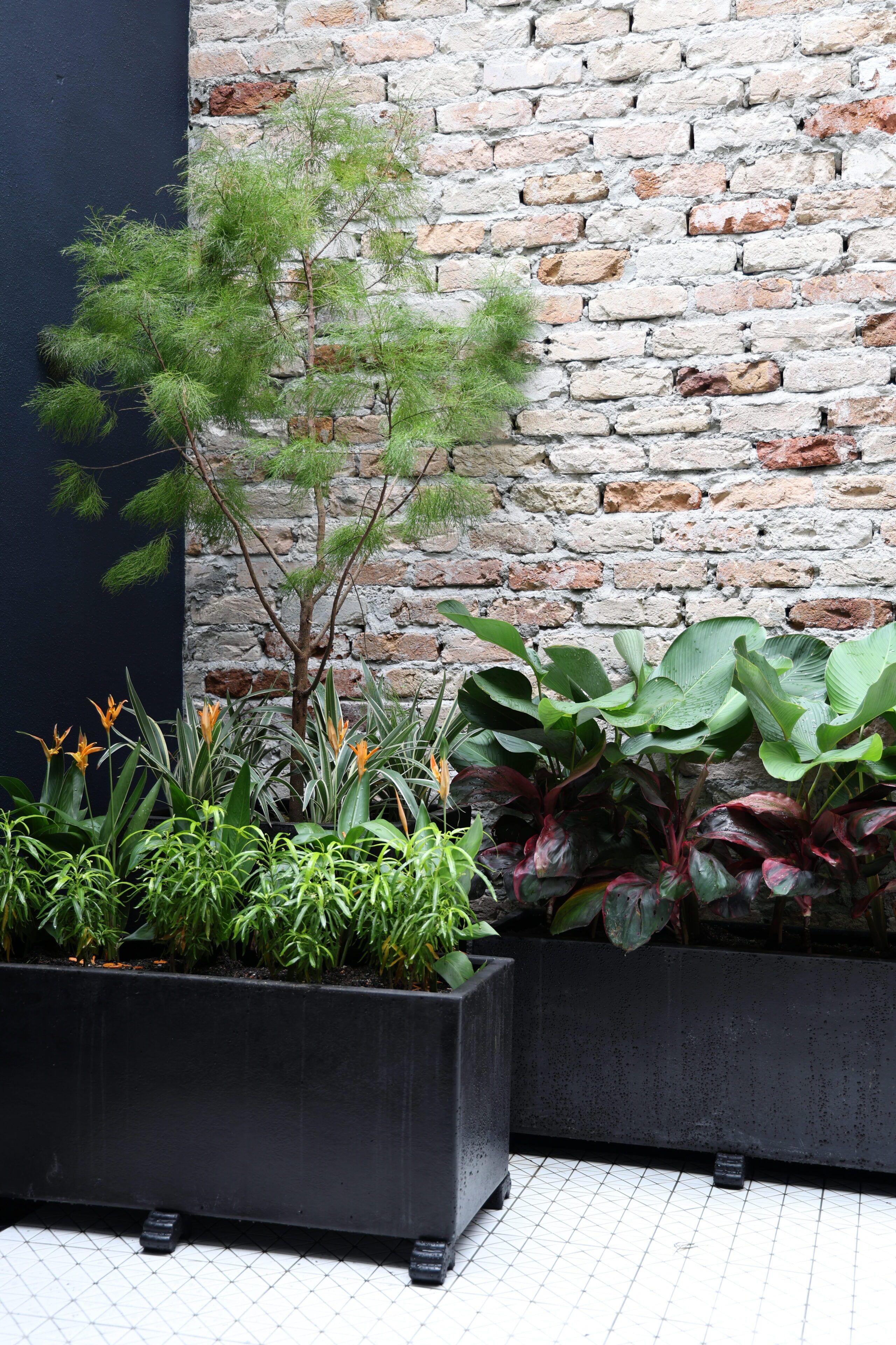 Garden view