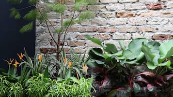 Vista del jardí