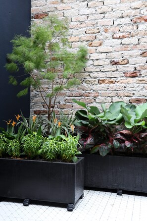 Vue sur le jardin