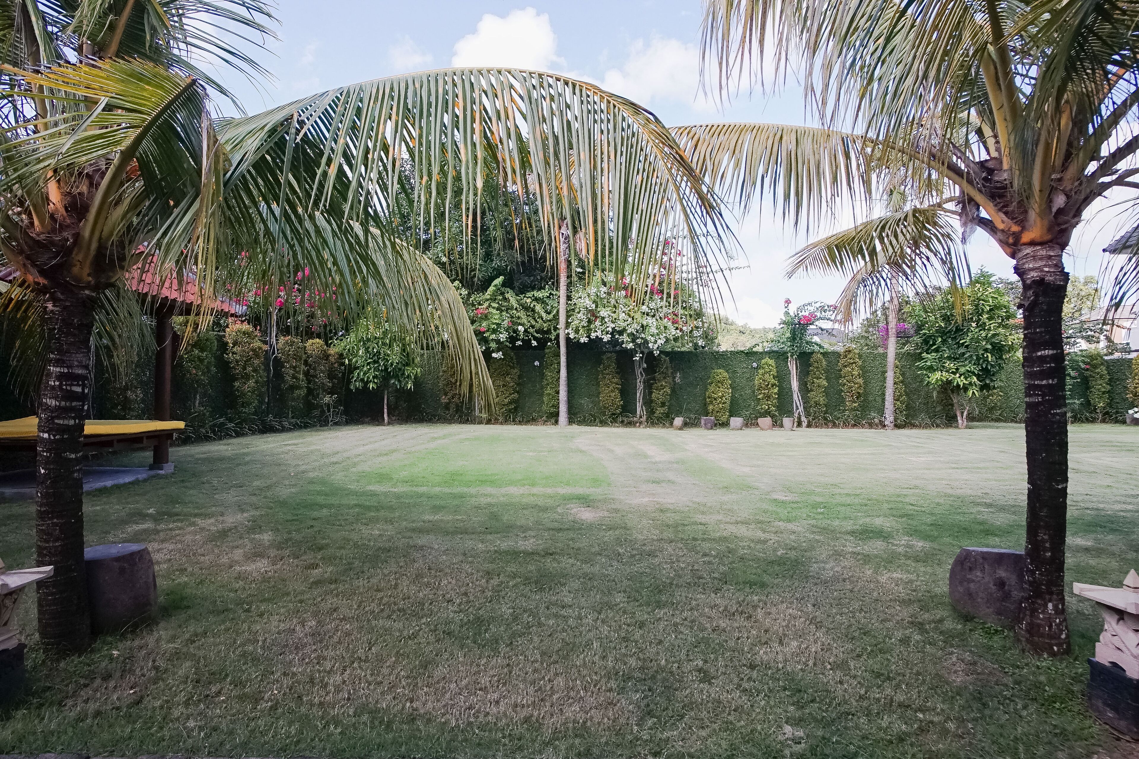 A well-maintained lawn with palm trees and a bench.