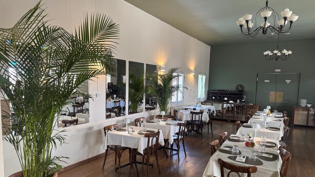 A restaurant with multiple tables, chairs, and a large potted plant. - Jubilee Hotel (Troodos)