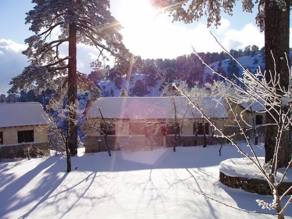 Jubilee Hotel by null