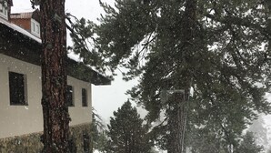 A snow-covered landscape with trees and a building. - Jubilee Hotel (Troodos)