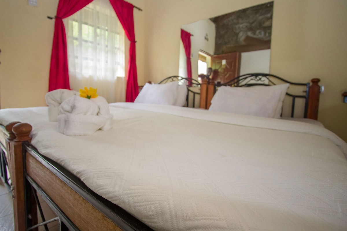 Premium bedding, desk, iron/ironing board, WiFi (free)