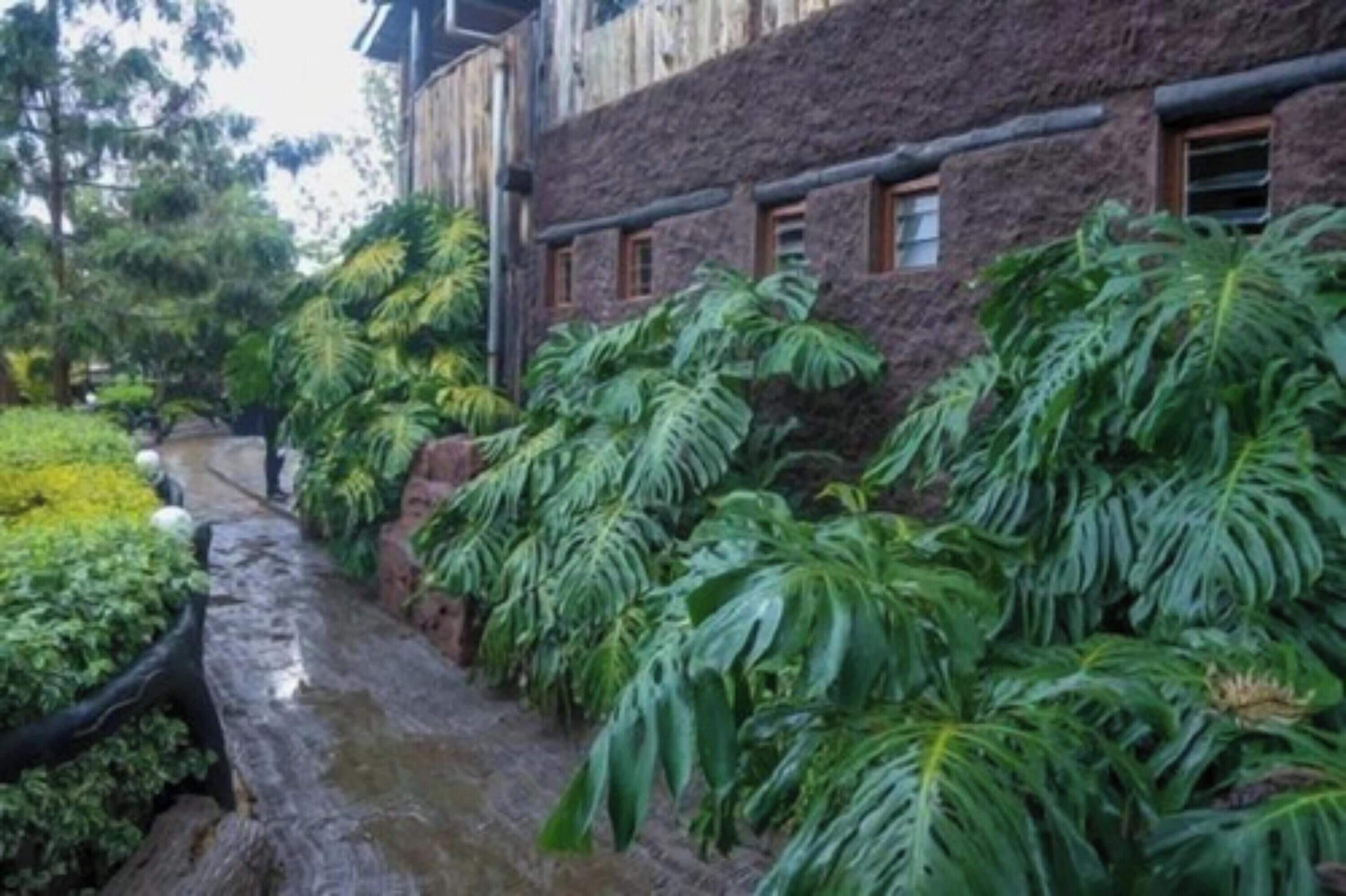 A building with a rustic exterior, surrounded by lush greenery and a narrow water channel.