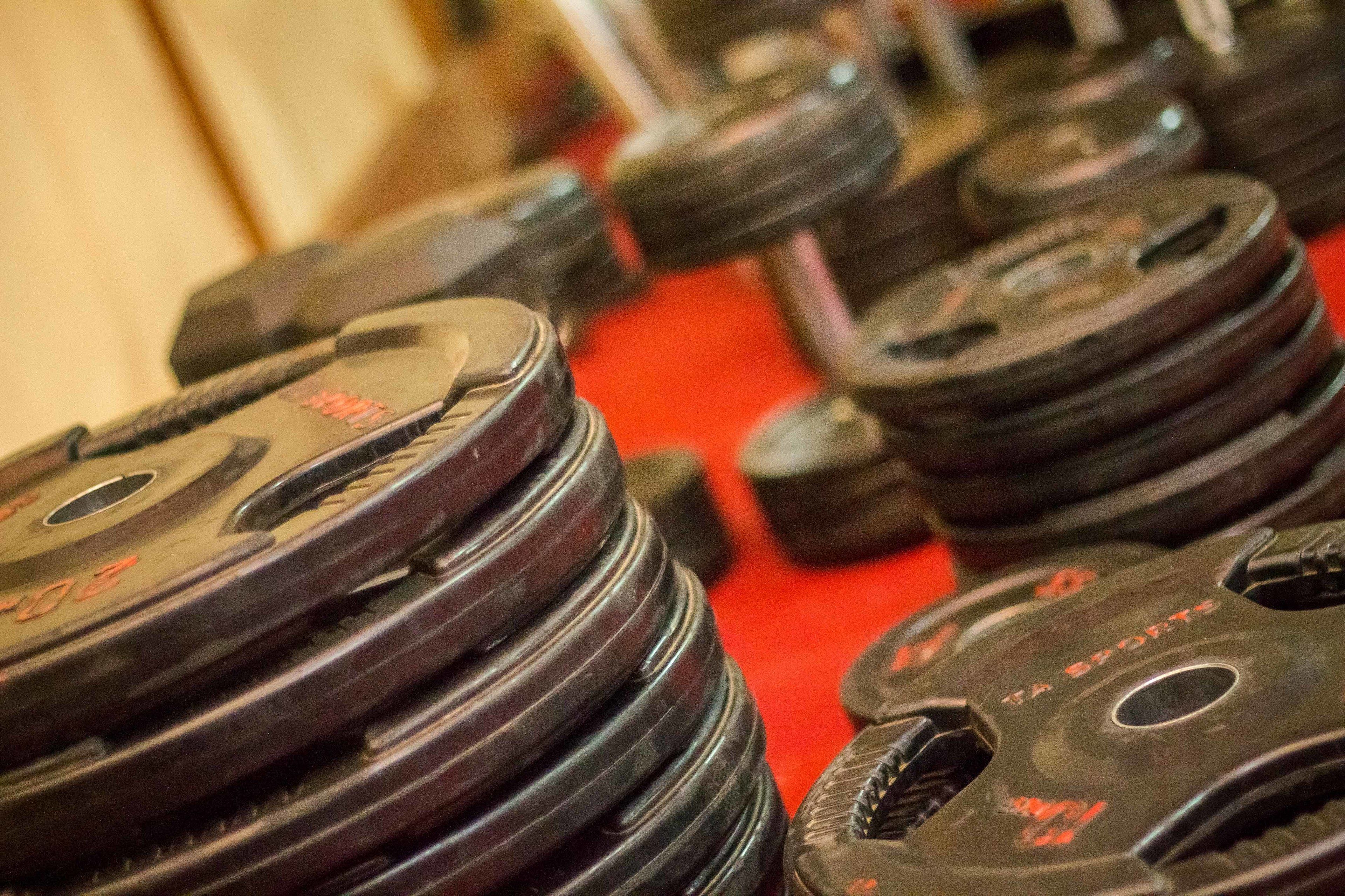 A close-up of a row of black dumbbells with red text on the weights, arranged on a red carpet.