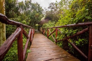 Quang cảnh nhìn từ nơi lưu trú
