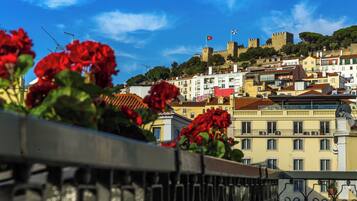 A cityscape with a historic castle on a hill, modern buildings, and red flowers in the foreground.