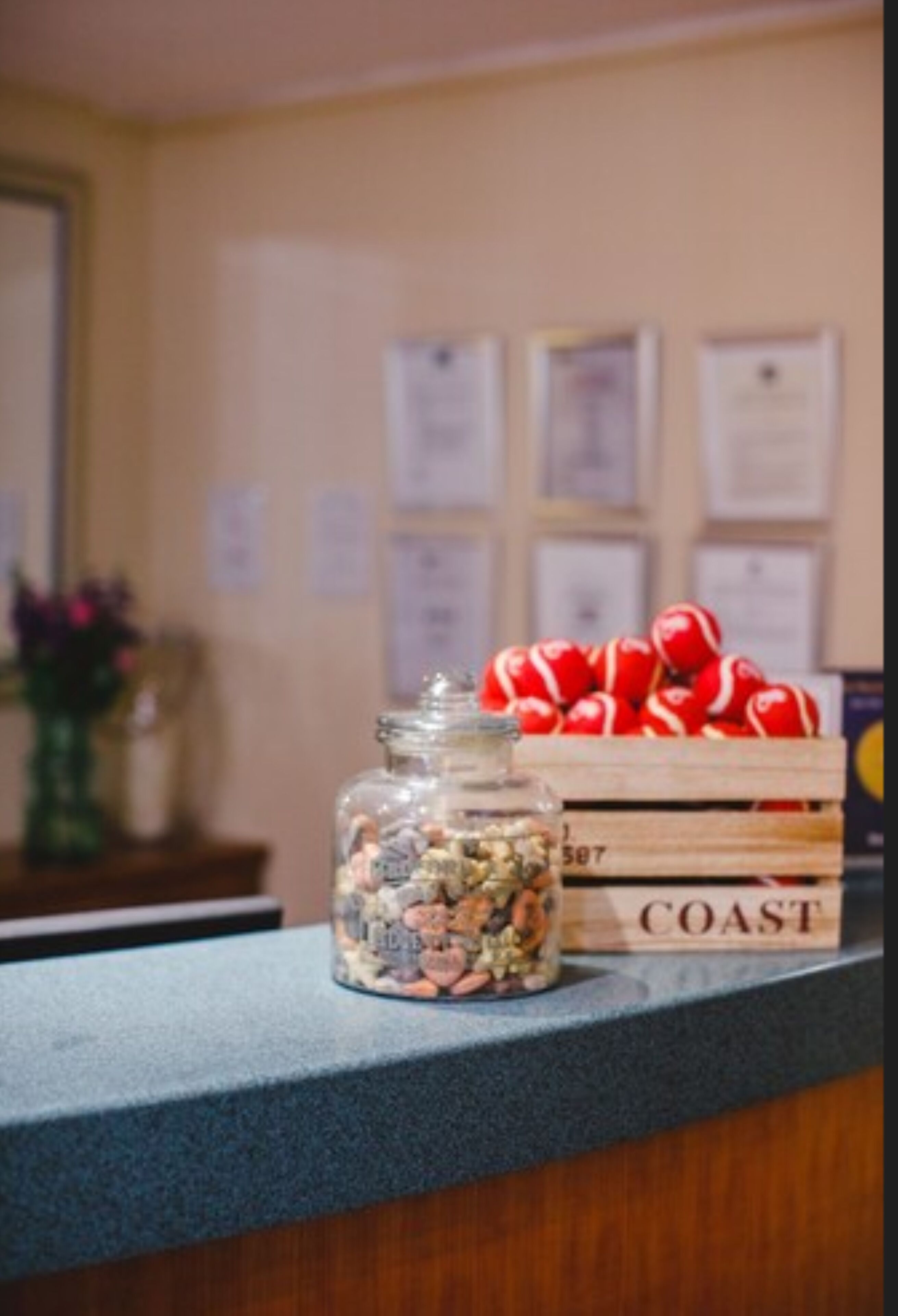 A counter with a jar of assorted nuts and a wooden crate labeled "COAST" containing red and white balls.