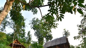 A rustic wooden house with a thatched roof, surrounded by lush greenery and trees. - Tha Khao Bay View (Ko Yao)