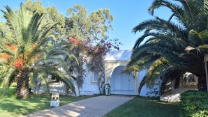 Una casa con entrada pavimentada, rodeada de palmeras y un césped cuidado.