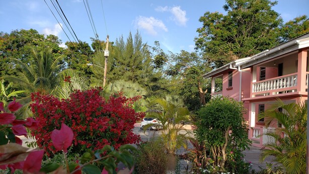 Garden view - Gentle Breeze Apartments (Worthing)