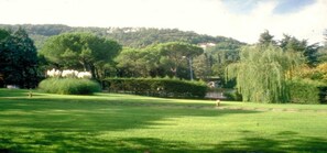 Property grounds - Cristallo (Chianciano Terme)