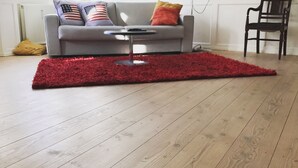 Una sala de estar con sofá gris, alfombra roja y piso de madera.