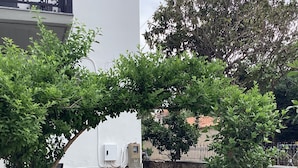 Un camí que condueix a un edifici amb un mur de pedra i una porta metàl·lica.
