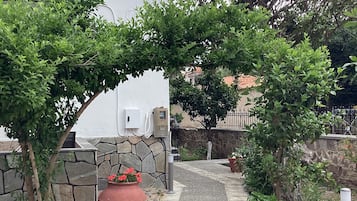 花園