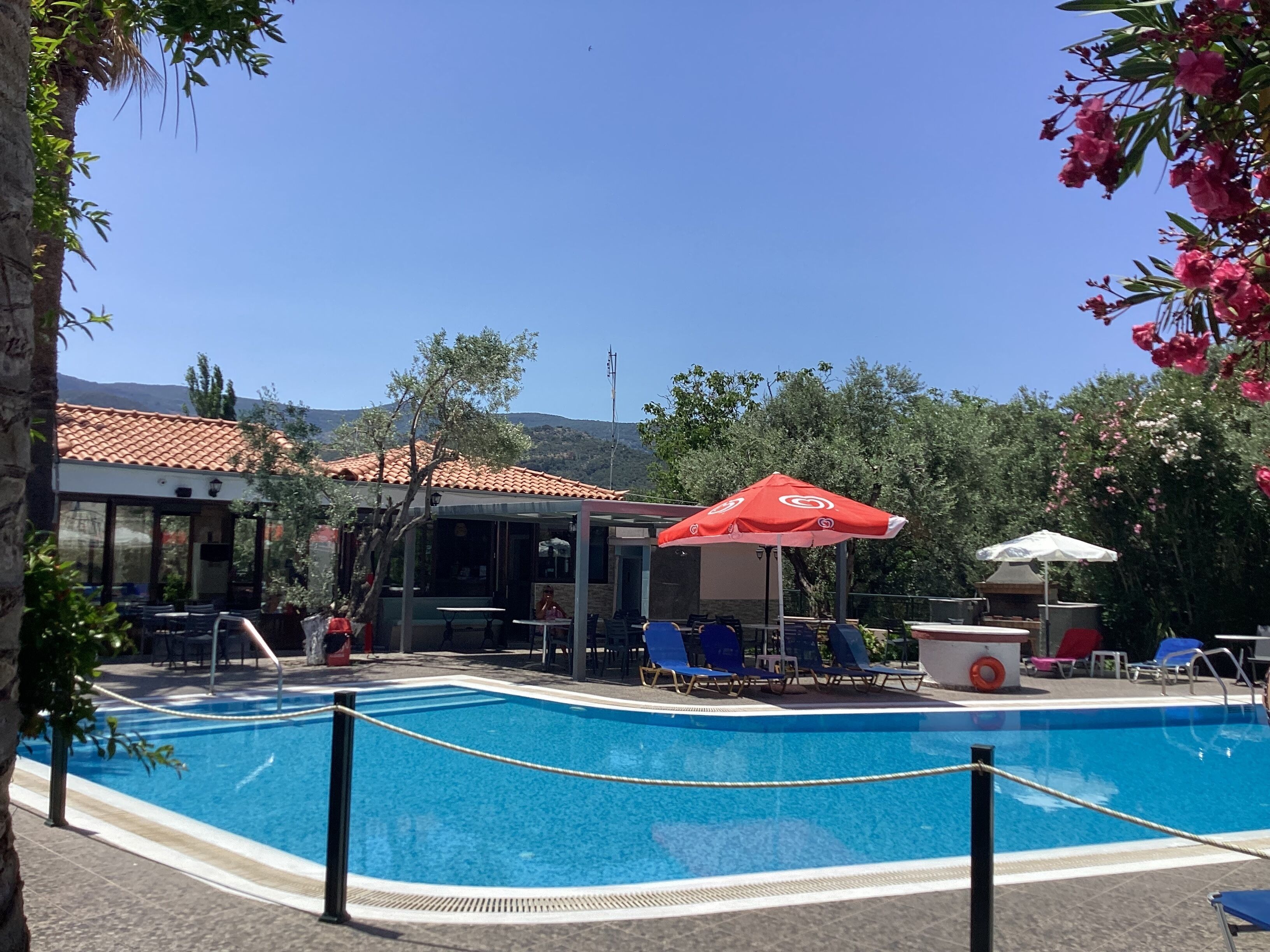 Outdoor pool, pool umbrellas, pool loungers