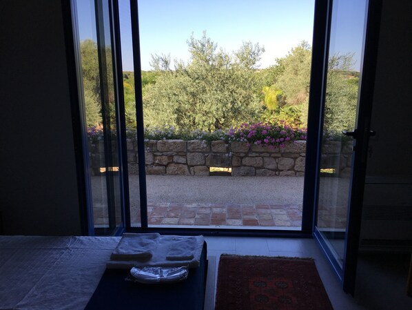 Deluxe Double Room | Terrace/patio