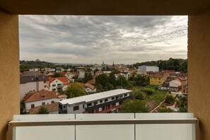 View from room - Cluj Lux Apartments Platinia (Cluj-Napoca)