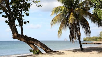 White sand