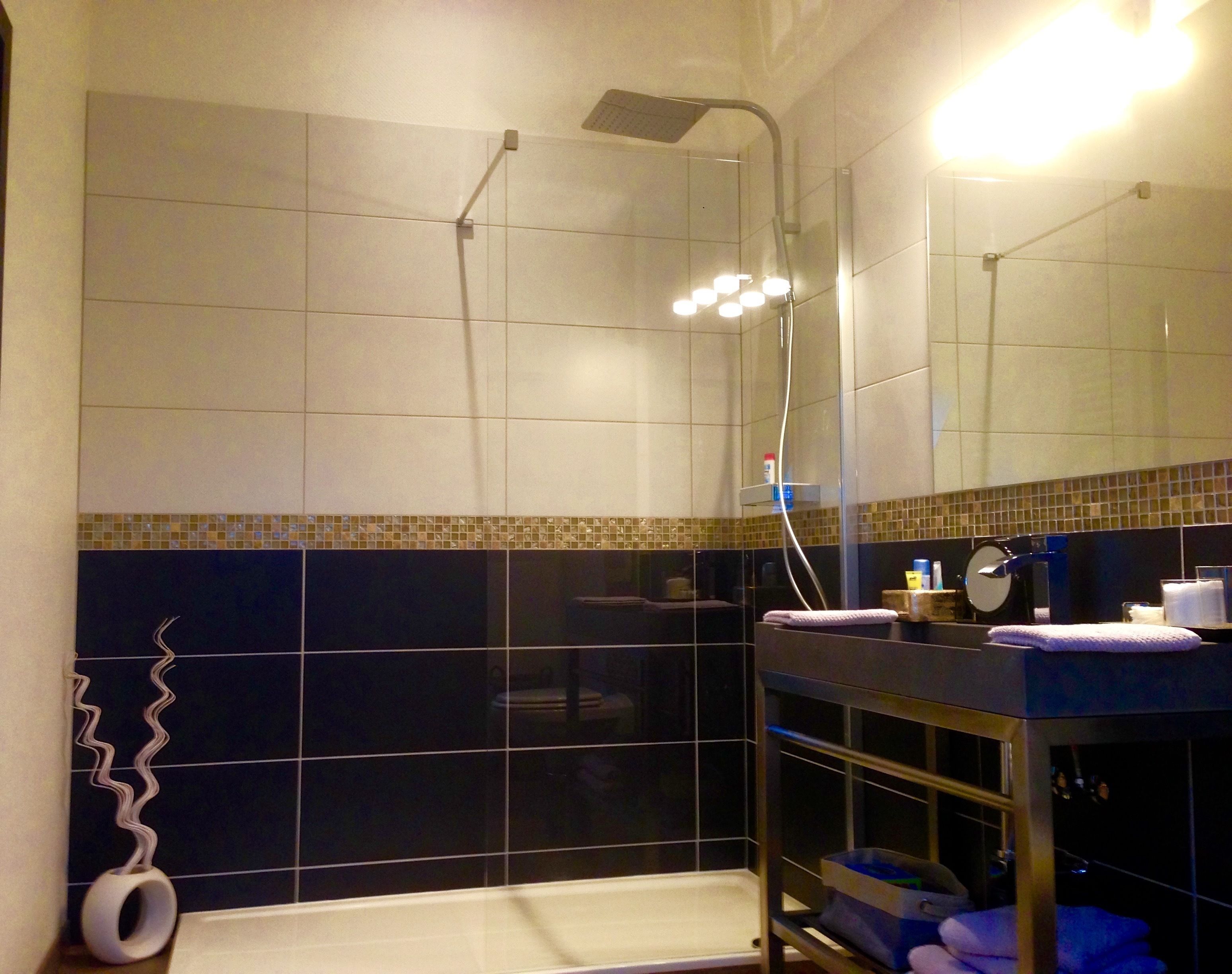 A bathroom with a shower, a toilet, a sink, and a mirror.