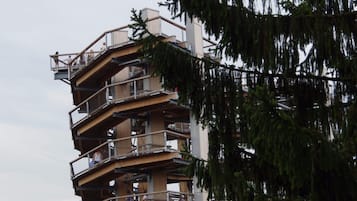 Un immeuble à plusieurs étages doté de balcons, entouré d’arbres.