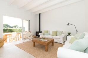 TV connectée, cheminée, lecteur de DVD