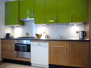 Fridge, oven, stovetop, dishwasher